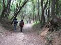 DSCF2542 (1)